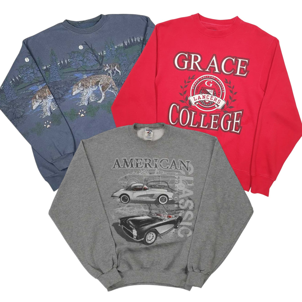 50 college sweatshirts vintage wholesale bundle